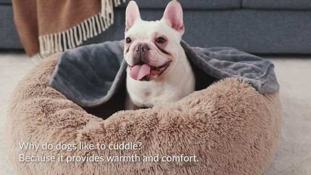 Product video 1