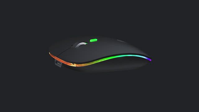 Amazon.com: Finalmouse Starlight-12 Poseidon Small : Pet Supplies