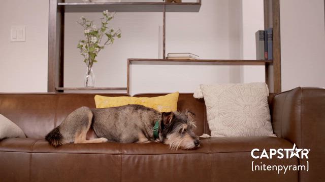 Product video 1